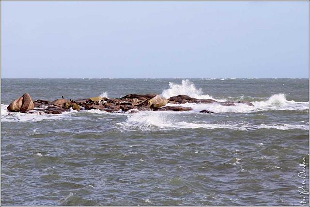 Cotentin - Barfleur