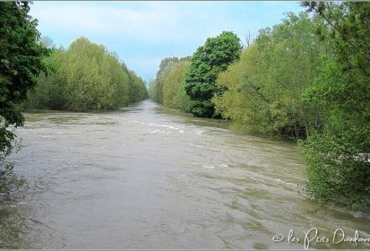 Et au milieu coule la Seine...