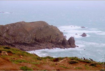 Cotentin - Nez de Jobourg