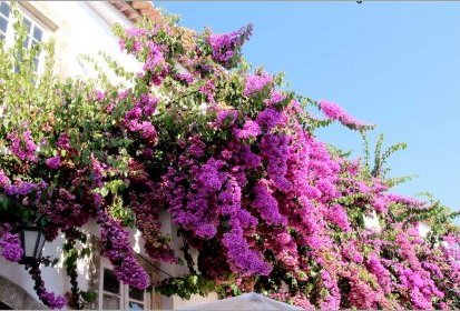 Obidos
