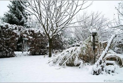 ... de neige.