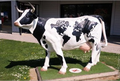 des Vaches made in Normandie