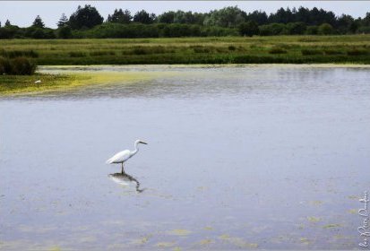 Entre terre et ciel : l'eau