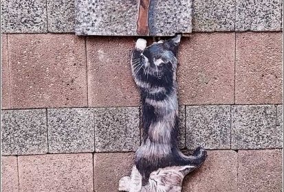 les chats de Troyes