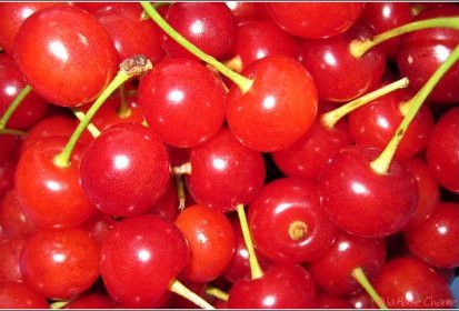 cerises