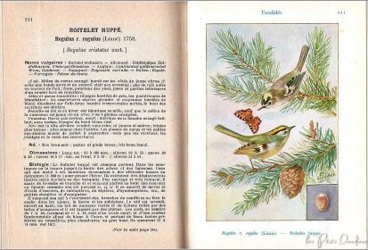 Encyclopédie des oiseaux