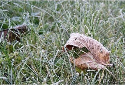 Petit coup de froid !...