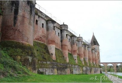 Albi