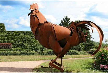 Des animaux extraordinaires...