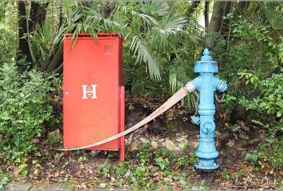 Rouge : le feu, bleu : l'eau (Trsteno)