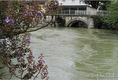 Et au milieu coule la Seine...