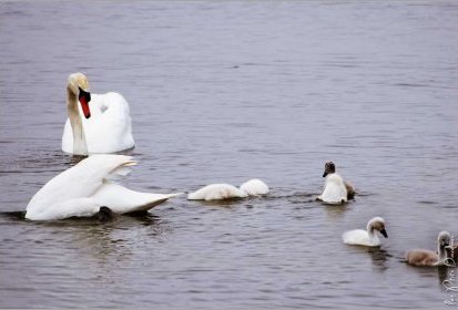 Entre terre et ciel : l'eau