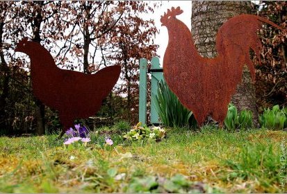 Poule et coq