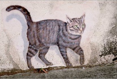 les chats de Troyes