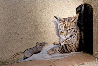 les chats de Troyes
