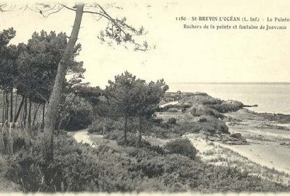 les pins