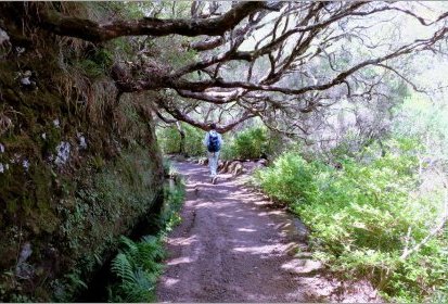 levada des "25 Fontes"