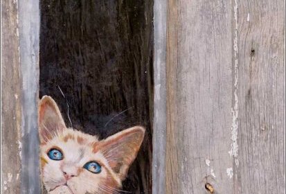 les chats de Troyes