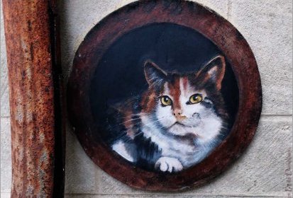 les chats de Troyes