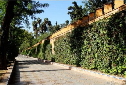 Séville - jardins de Murillo