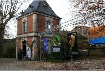 Expo dans les Haras