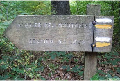 le Loup a-t-il mangé les moutons ?