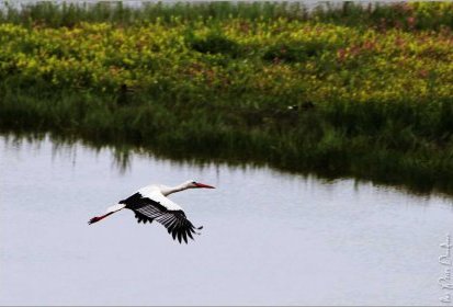 Entre terre et ciel : l'eau