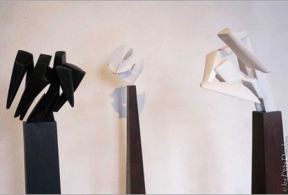 Parvine Curie - Battements d'ailes