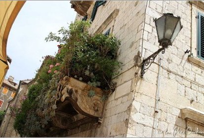 Kotor