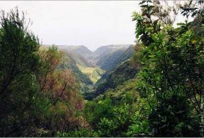 levada du "Caldeirão Verde"