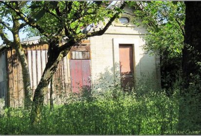 la cabane au fond du jardin