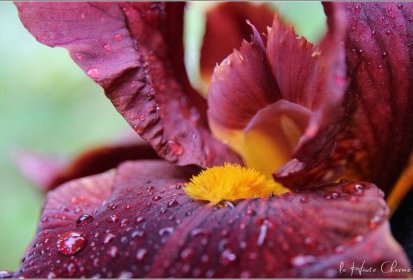 Après... la pluie