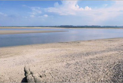 Entre le ciel et l'eau : le sable et les phoques