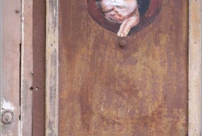 les chats de Troyes