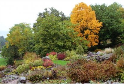 Jardin Botanique du Montet