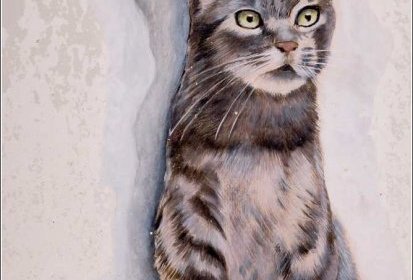 les chats de Troyes