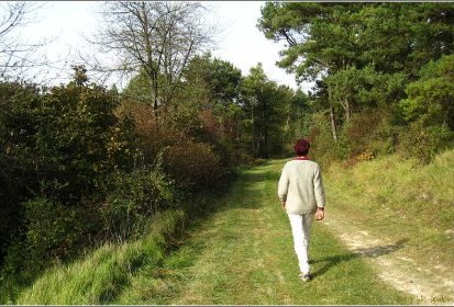 En chemin