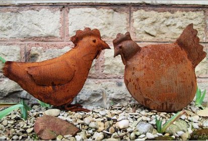 les poules !...