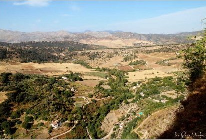 Ronda - plaine du rio Guadelevin