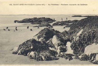 les rochers du Pointeau
