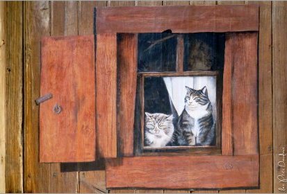 les chats de Troyes