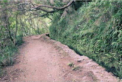 levada du "Caldeirão Verde"