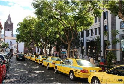 Funchal - avenida Arriaga