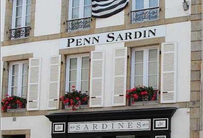 Penn Sardin