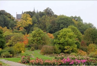 Jardin Botanique du Montet