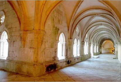 Alcobaça - Monastère de Santa Maria (Cloître du Silence)
