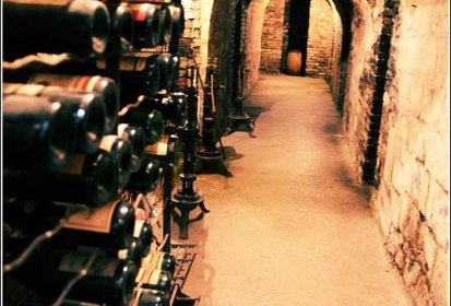 Cellier Saint Pierre - la cave