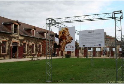 Expo dans les Haras