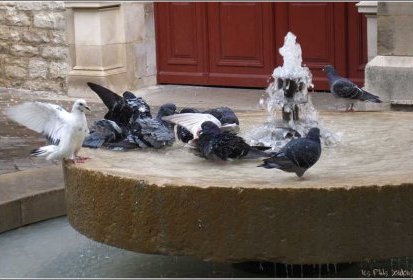 les Bains douches municipaux