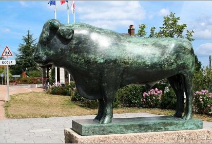 Des animaux extraordinaires...